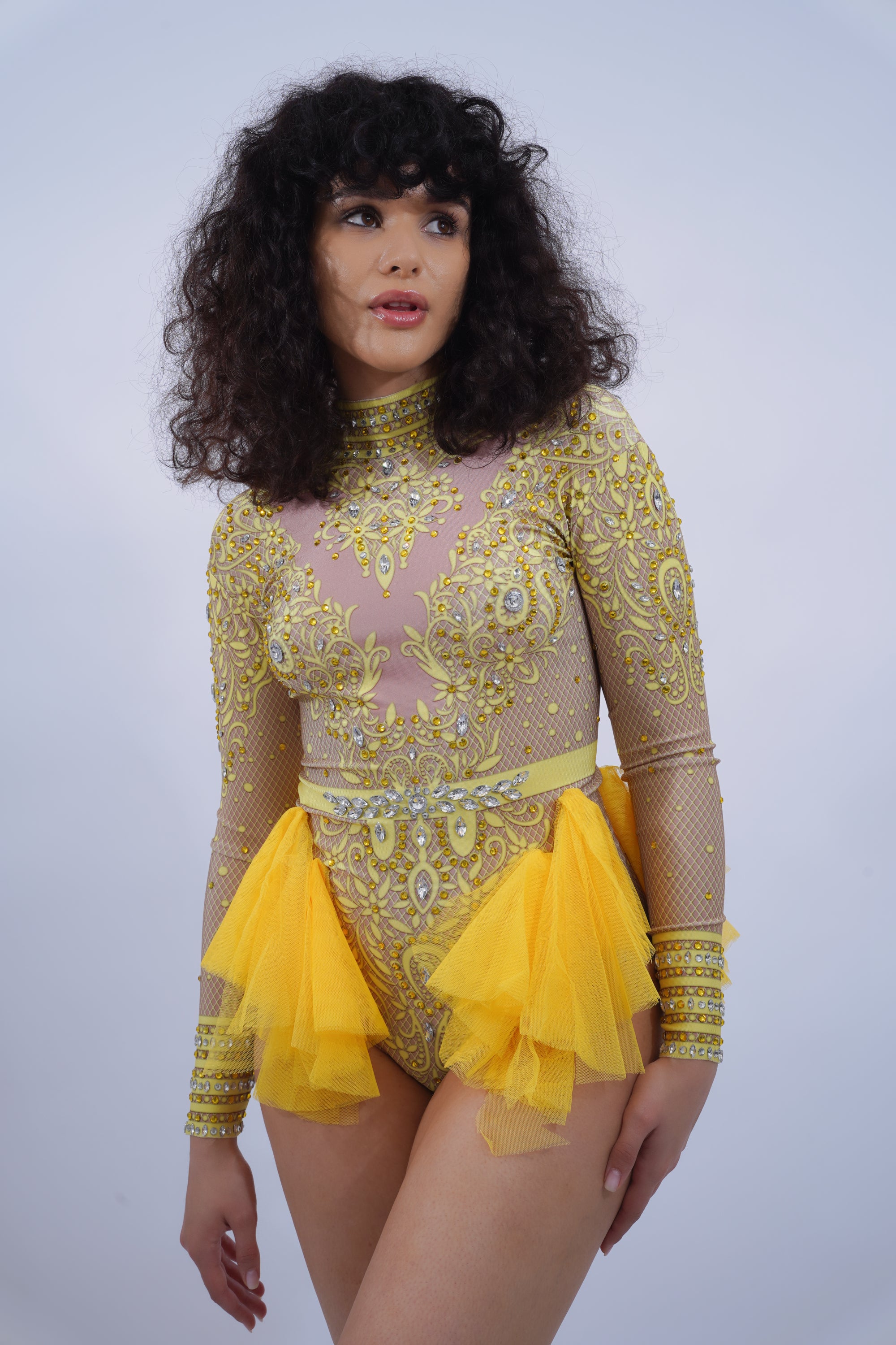 Embridoried Long Sleeve Rhinestone Bodysuit